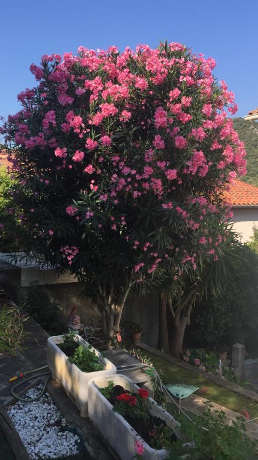 אמלי-לה-באינס-פללדה Beautiful Apartment With Garden מראה חיצוני תמונה